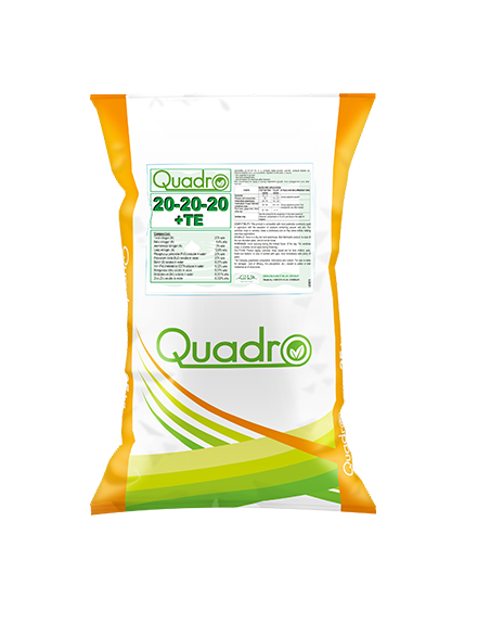 Quadro Line